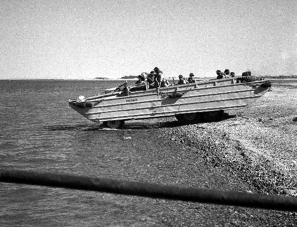 1951 1LF 1950 Exercises Fayid Canal Zone620